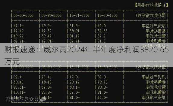 财报速递：威尔高2024年半年度净利润3820.65万元-第2张图片-