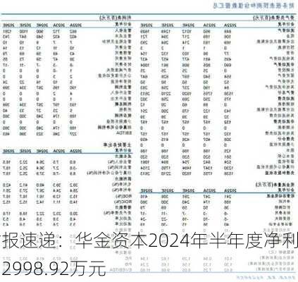 财报速递：华金资本2024年半年度净利润2998.92万元-第2张图片-