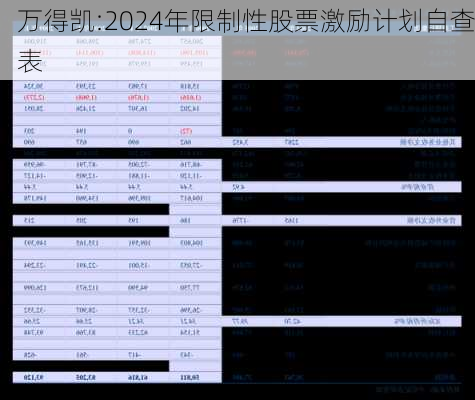 万得凯:2024年限制性股票激励计划自查表-第1张图片-