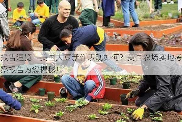 报告速览丨美国大豆新作表现如何？美国农场实地考察报告为您揭秘！-第2张图片-