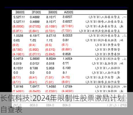 长信科技:2024年限制性股票激励计划自查表-第1张图片-