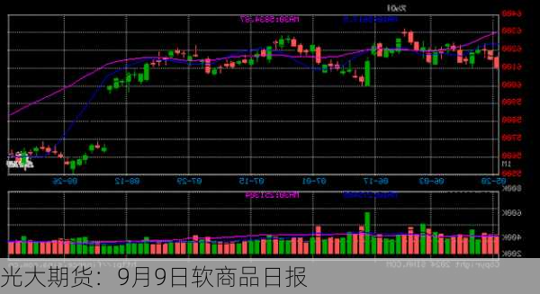 光大期货：9月9日软商品日报-第1张图片-