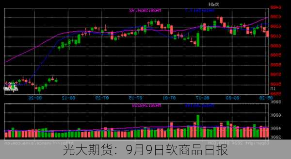 光大期货：9月9日软商品日报-第2张图片-