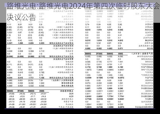 路维光电:路维光电2024年第四次临时股东大会决议公告-第1张图片-