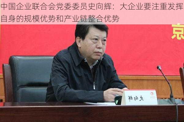 中国企业联合会党委委员史向辉：大企业要注重发挥自身的规模优势和产业链整合优势-第3张图片-