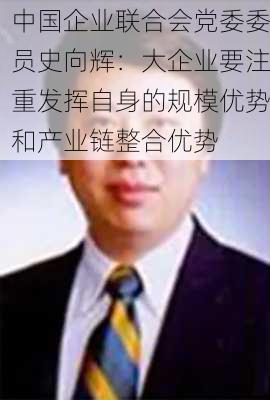 中国企业联合会党委委员史向辉：大企业要注重发挥自身的规模优势和产业链整合优势-第2张图片-