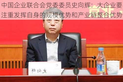 中国企业联合会党委委员史向辉：大企业要注重发挥自身的规模优势和产业链整合优势-第1张图片-