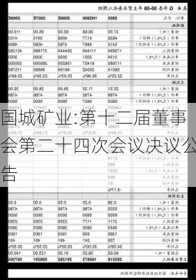 国城矿业:第十二届董事会第二十四次会议决议公告-第1张图片-