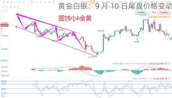 黄金白银：9 月 10 日尾盘价格变动-第2张图片-