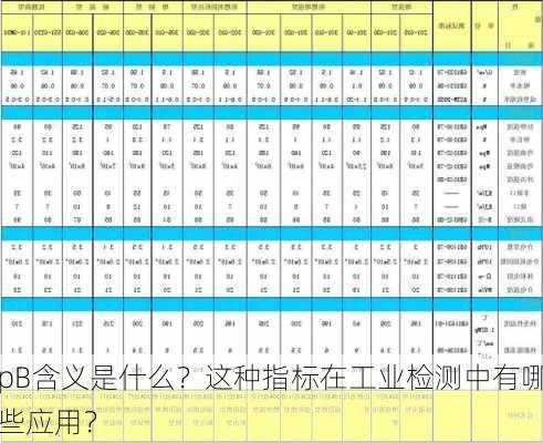 pB含义是什么？这种指标在工业检测中有哪些应用？