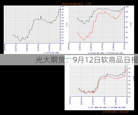 光大期货：9月12日软商品日报-第2张图片-