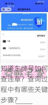 知道车牌号如何查违章？查询过程中有哪些关键步骤？-第2张图片-