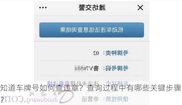 知道车牌号如何查违章？查询过程中有哪些关键步骤？-第3张图片-