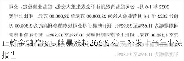 正乾金融控股复牌暴涨超266% 公司补发上半年业绩报告-第2张图片-