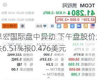 思宏国际盘中异动 下午盘股价大跌6.51%报0.476美元-第2张图片-