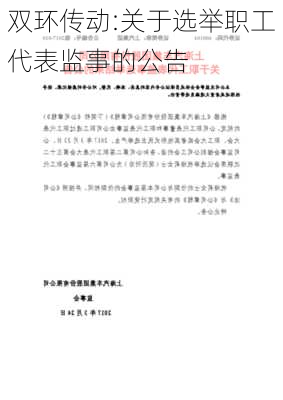 双环传动:关于选举职工代表监事的公告