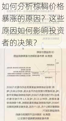 如何分析棕榈价格暴涨的原因？这些原因如何影响投资者的决策？