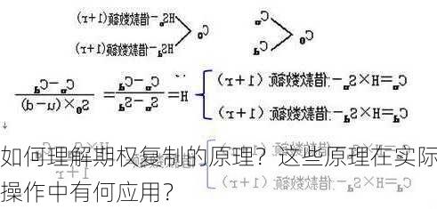 如何理解期权复制的原理？这些原理在实际操作中有何应用？-第1张图片-