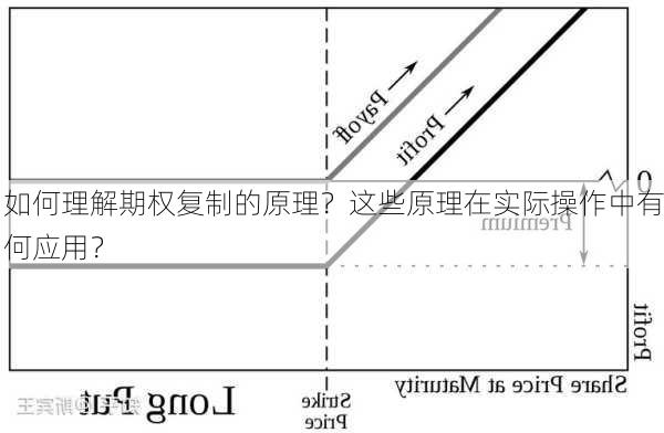 如何理解期权复制的原理？这些原理在实际操作中有何应用？-第2张图片-