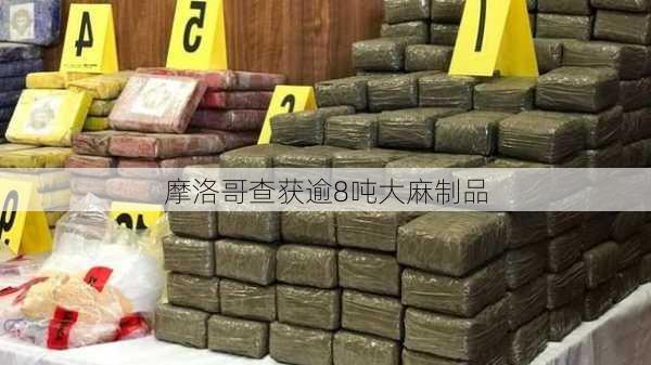 摩洛哥查获逾8吨大麻制品