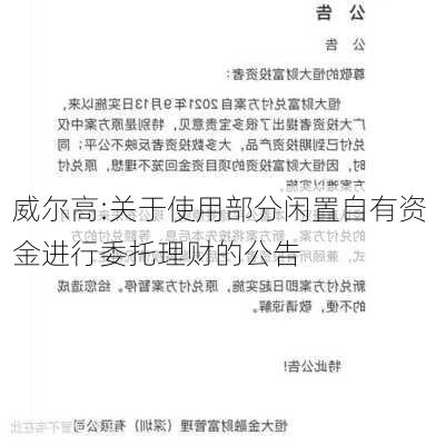 威尔高:关于使用部分闲置自有资金进行委托理财的公告