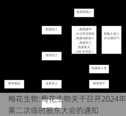 梅花生物:梅花生物关于召开2024年第二次临时股东大会的通知