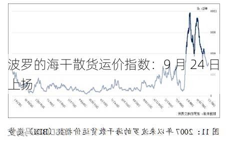 波罗的海干散货运价指数：9 月 24 日上扬-第1张图片-