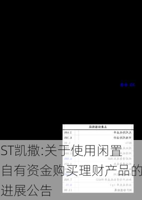 ST凯撒:关于使用闲置自有资金购买理财产品的进展公告