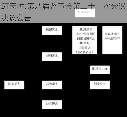 ST天喻:第八届监事会第二十一次会议决议公告