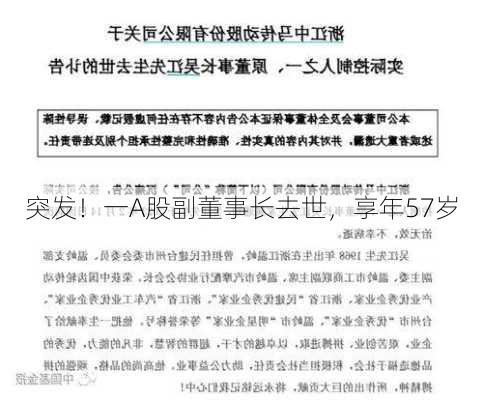 突发！一A股副董事长去世，享年57岁-第3张图片-