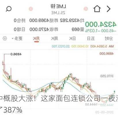 中概股大涨！这家面包连锁公司一夜涨了387%-第2张图片-