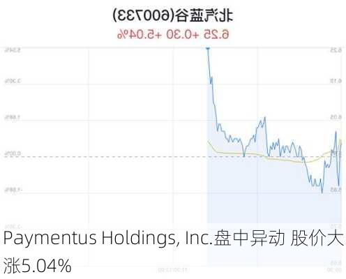 Paymentus Holdings, Inc.盘中异动 股价大涨5.04%-第2张图片-