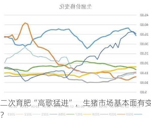 二次育肥“高歌猛进”，生猪市场基本面有变？-第2张图片-