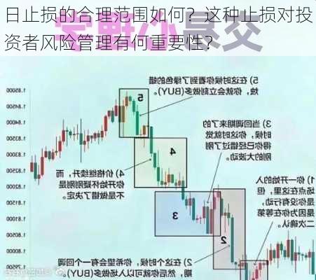 日止损的合理范围如何？这种止损对投资者风险管理有何重要性？-第3张图片-