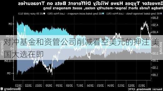 对冲基金和资管公司削减看空美元的押注 美国大选在即-第1张图片-