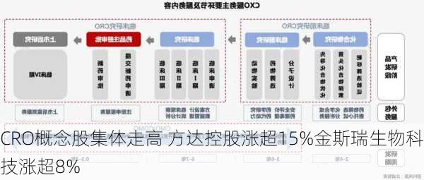 CRO概念股集体走高 方达控股涨超15%金斯瑞生物科技涨超8%-第1张图片-