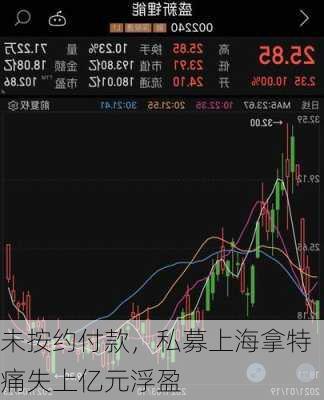 未按约付款，私募上海拿特痛失上亿元浮盈-第2张图片-