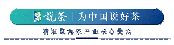 养老金融亟须专业团队 撬动30万亿银发产业“巨擘”市场-第3张图片-