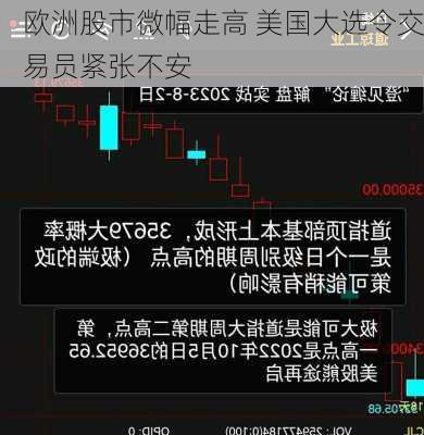 欧洲股市微幅走高 美国大选令交易员紧张不安-第1张图片-