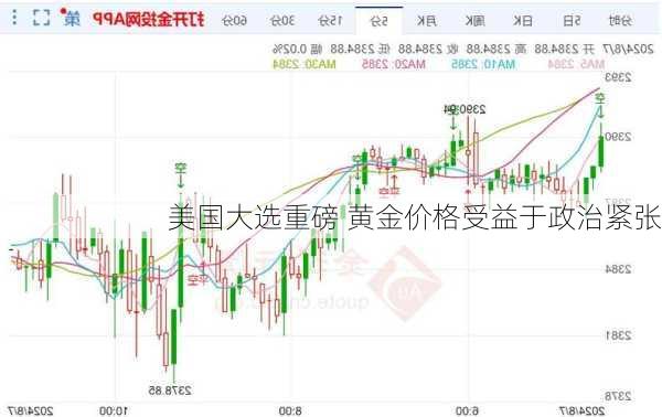 美国大选重磅 黄金价格受益于政治紧张-第3张图片-