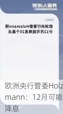 欧洲央行管委Holzmann：12月可能降息-第2张图片-