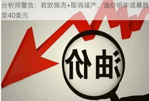 分析师警告：若欧佩克+取消减产，油价明年或暴跌至40美元