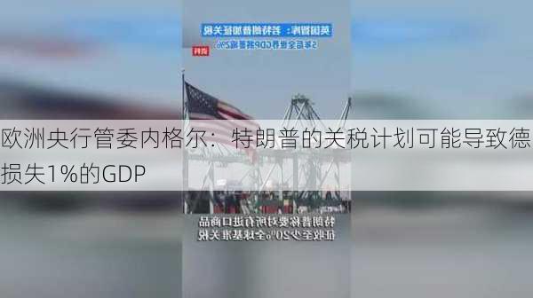 欧洲央行管委内格尔：特朗普的关税计划可能导致德国损失1%的GDP