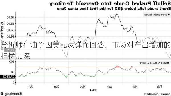 分析师：油价因美元反弹而回落，市场对产出增加的担忧加深