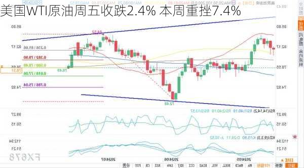 美国WTI原油周五收跌2.4% 本周重挫7.4%