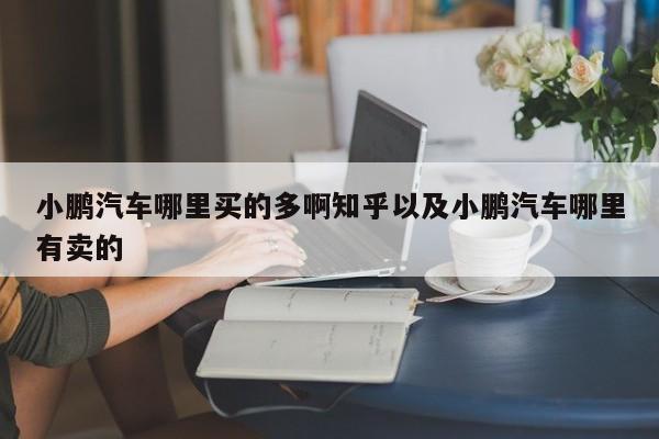 小鹏轿车哪里买的多啊知乎以及小鹏轿车哪里有卖的