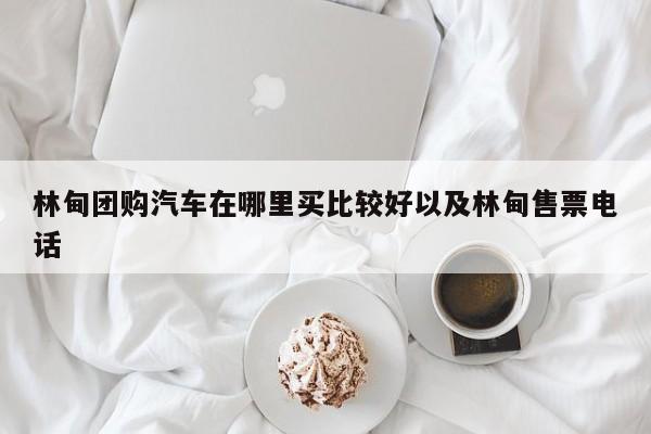 林甸团购汽车在哪里买比较好以及林甸售票电话